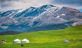 新疆防疫政策最新